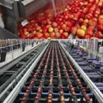 Apple Juice Complete Processing Line